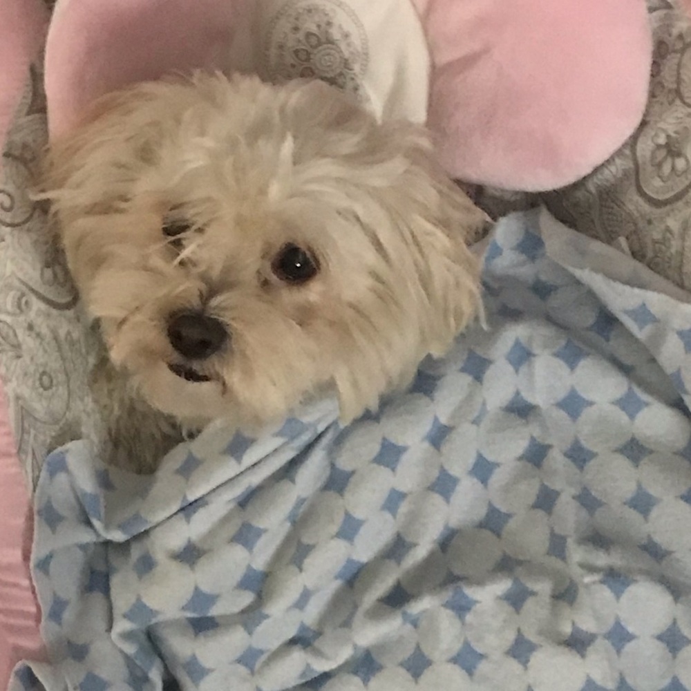 Meet your Posher, Eduardo